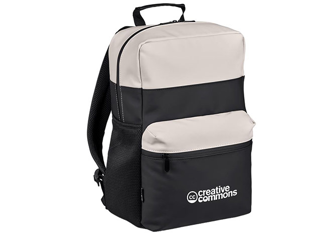 Andy Cartwright Cederberg water-resistant laptop backpack